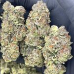 Marijuana - Image 3