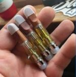 DMT - Image 3