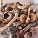 Psilocybin
