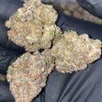 Marijuana - Image 4
