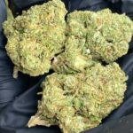 Marijuana - Image 2