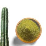 Buy San Pedro Powder Online: Premium San Pedro Powder for Psychoactive and Botanical Research
