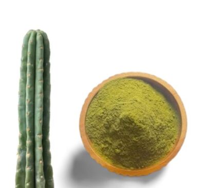 Buy San Pedro Powder Online: Premium San Pedro Powder for Psychoactive and Botanical Research